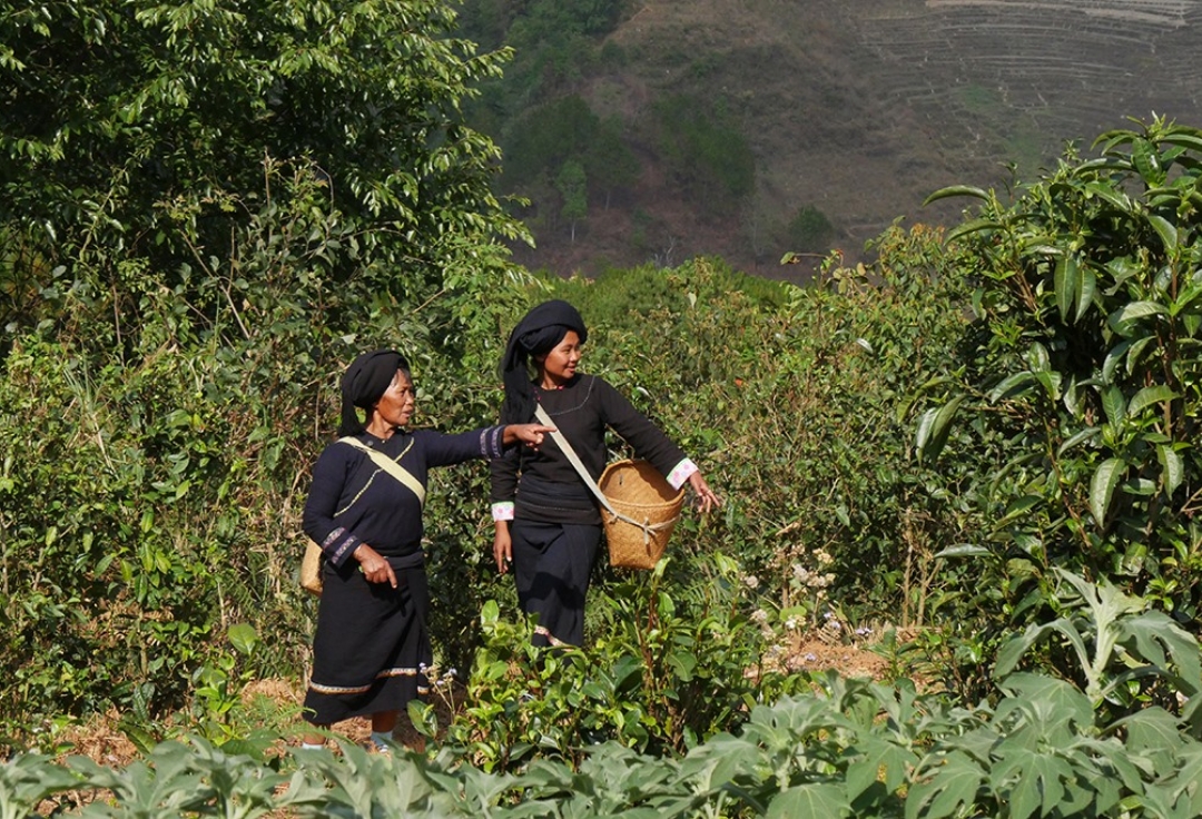 一般社団法人 日本中国友好写真協会<br>第9回公募写真展 中国大陸を行く