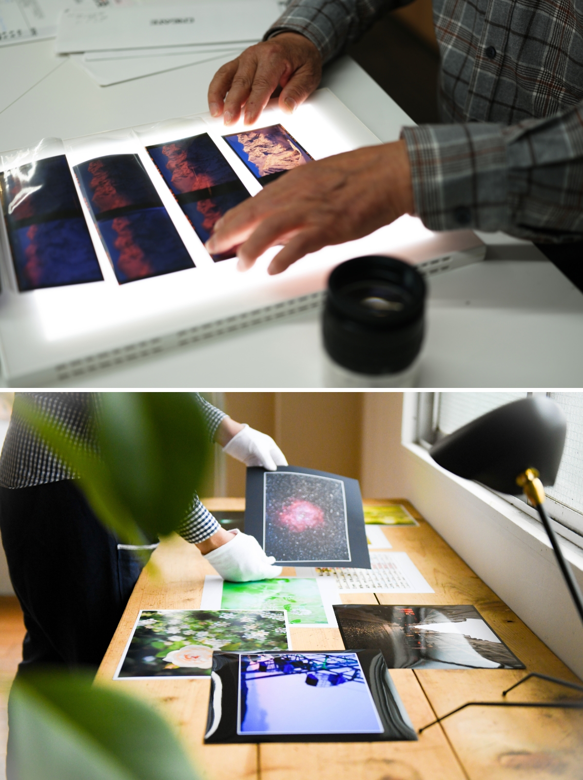 ライトテーブルで写真フィルムを確認し、机に作品プリントを並べる様子