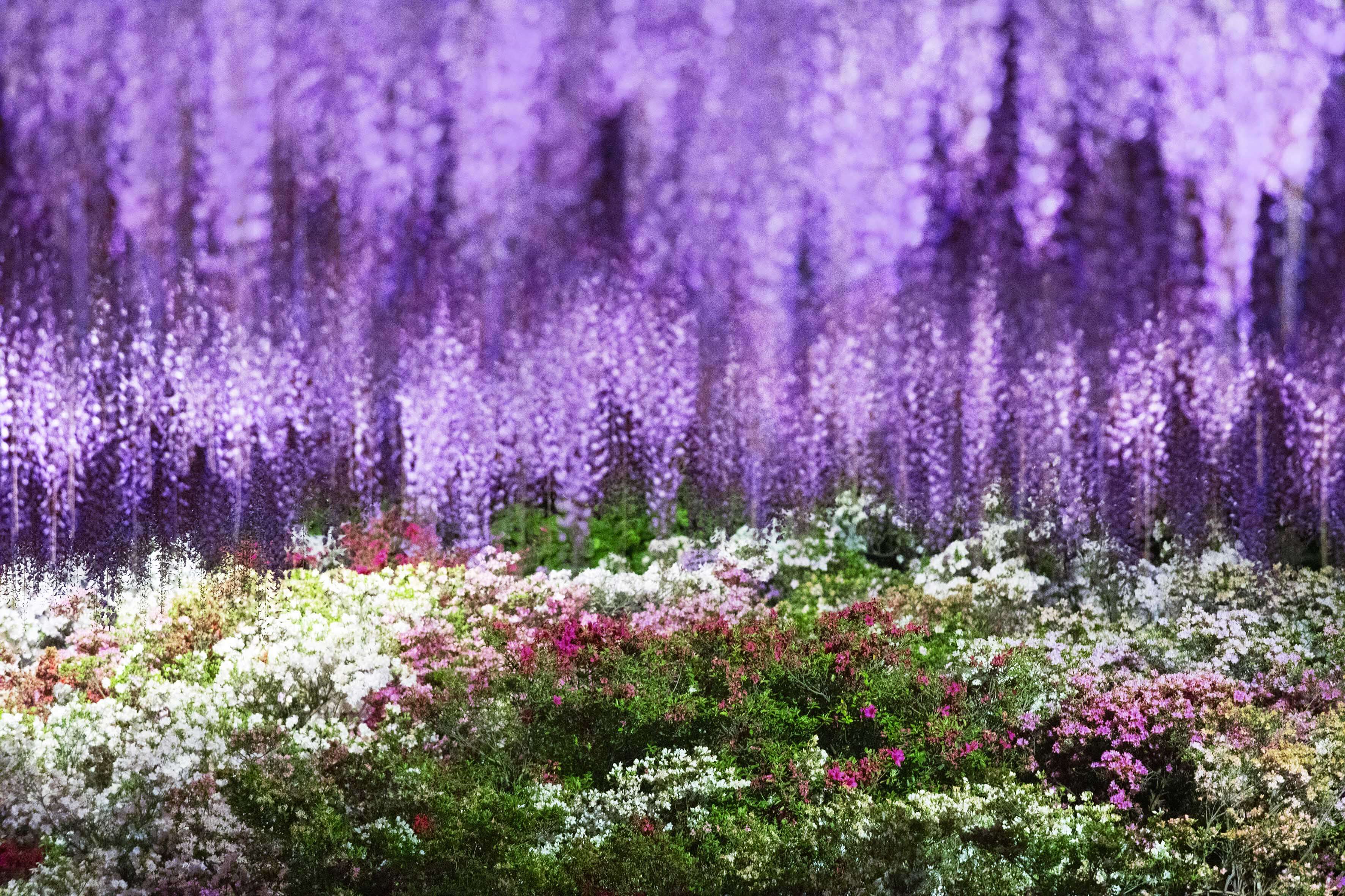 蜷川実花