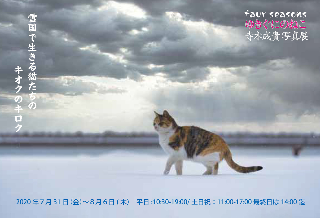 寺本成貴写真展 four seasone ゆきぐにのねこ