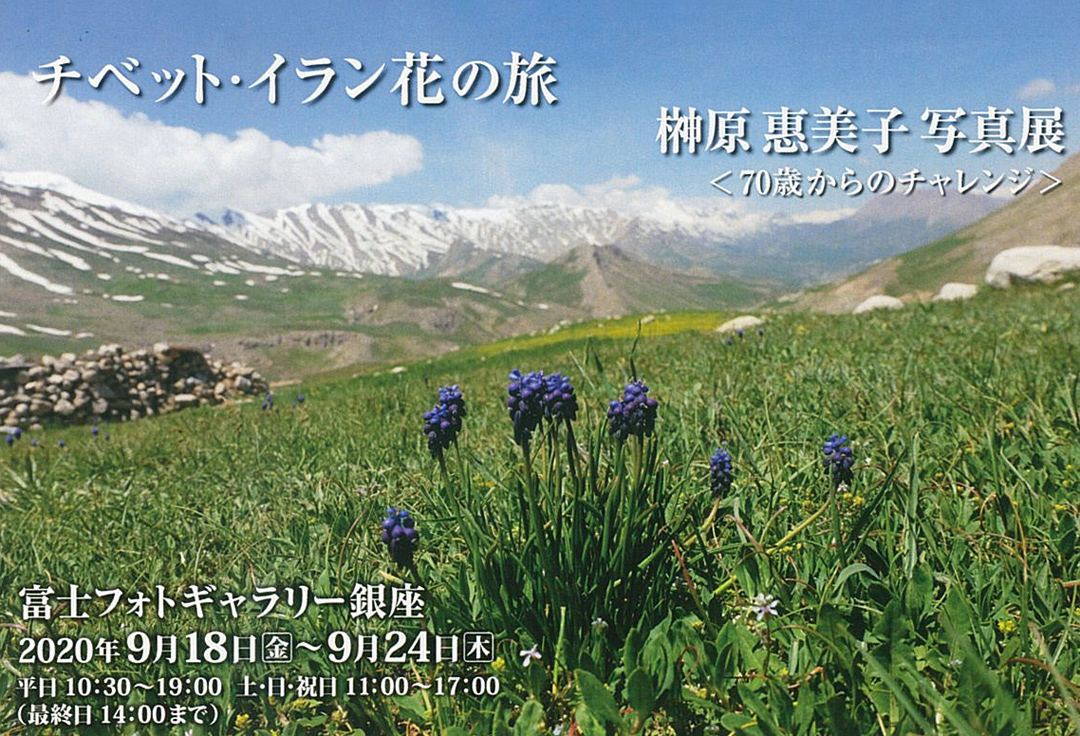 チベット・イラン花の旅　榊原恵美子写真展