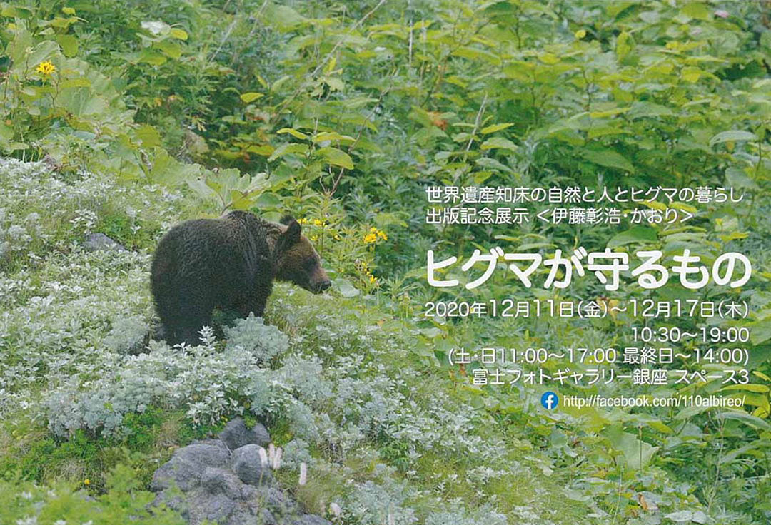 伊藤彰浩/かおり Photograph albireo写真展「ヒグマが守るもの」