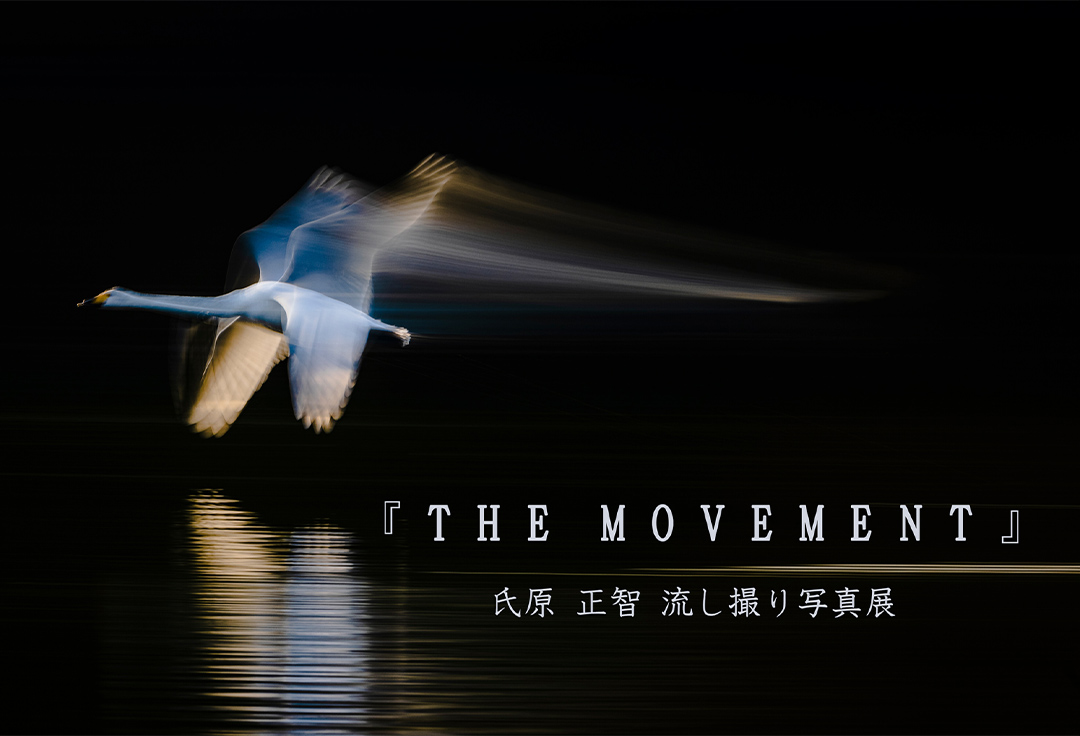 氏原正智　流し撮り写真展「THE MOVEMENT」