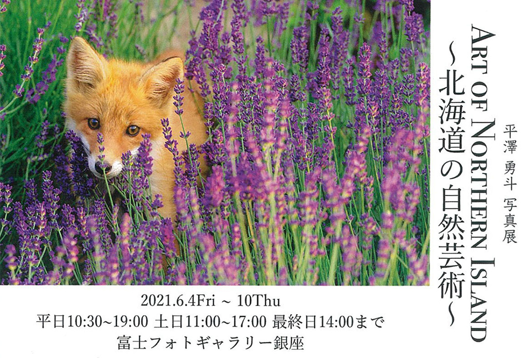 平澤勇斗 写真展 Art of Northern Island ～北海道の自然芸術～