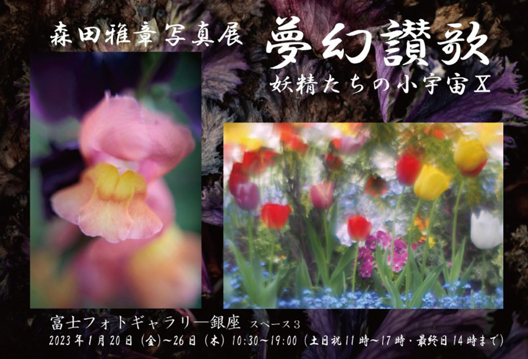 森田雅章写真展<br>「夢幻讃歌」妖精たちの小宇宙X