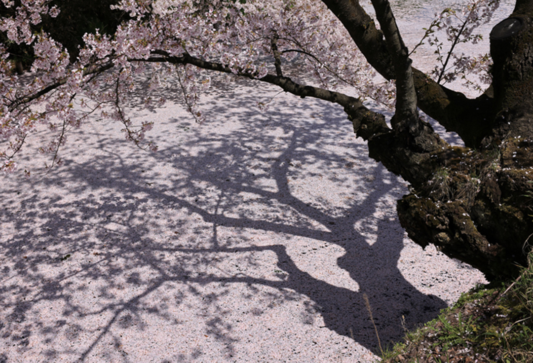 「四季折々」石井護写真展