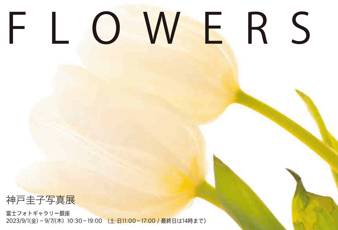 神戸圭子写真展　FLOWERS