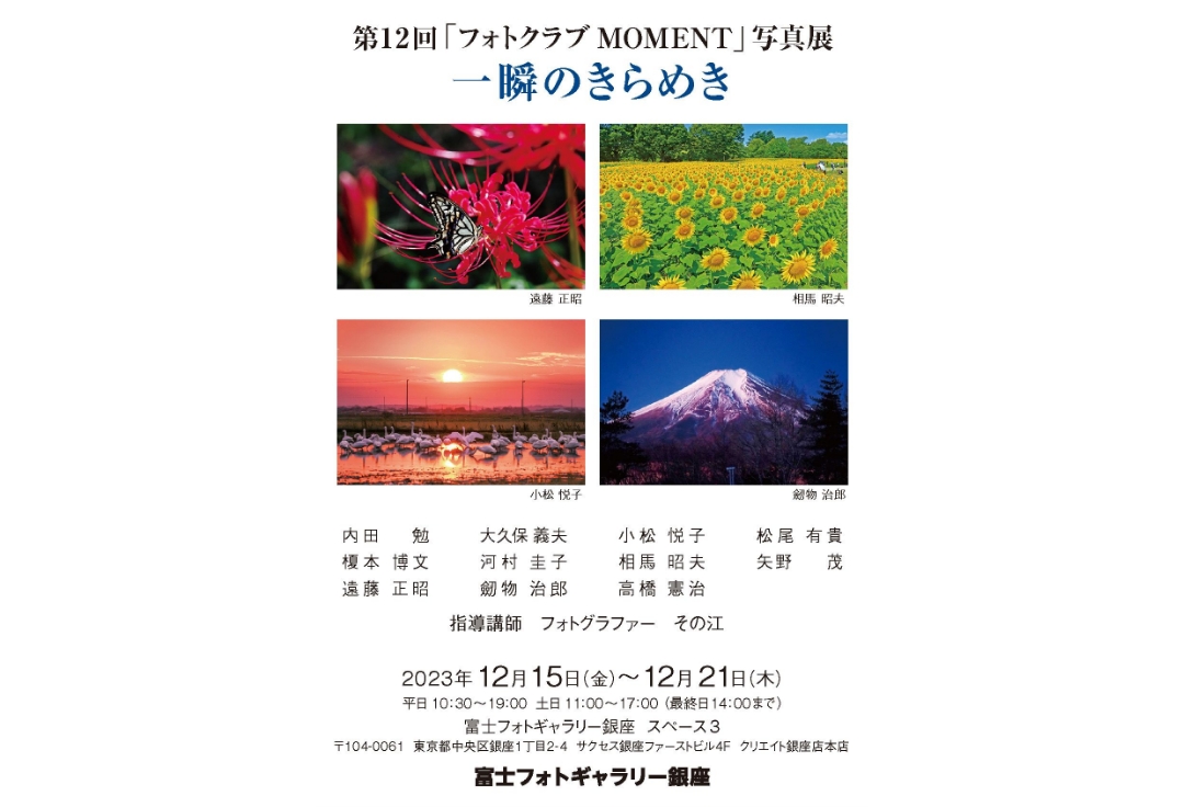 第12回「フォトクラブMOMENT」写真展<br>一瞬のきらめき