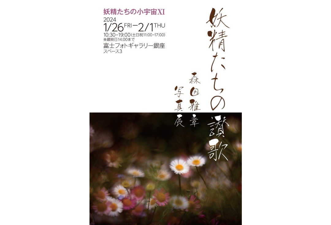 森田雅章写真展 「妖精たちの讃歌」<br>妖精たちの小宇宙Ⅺ