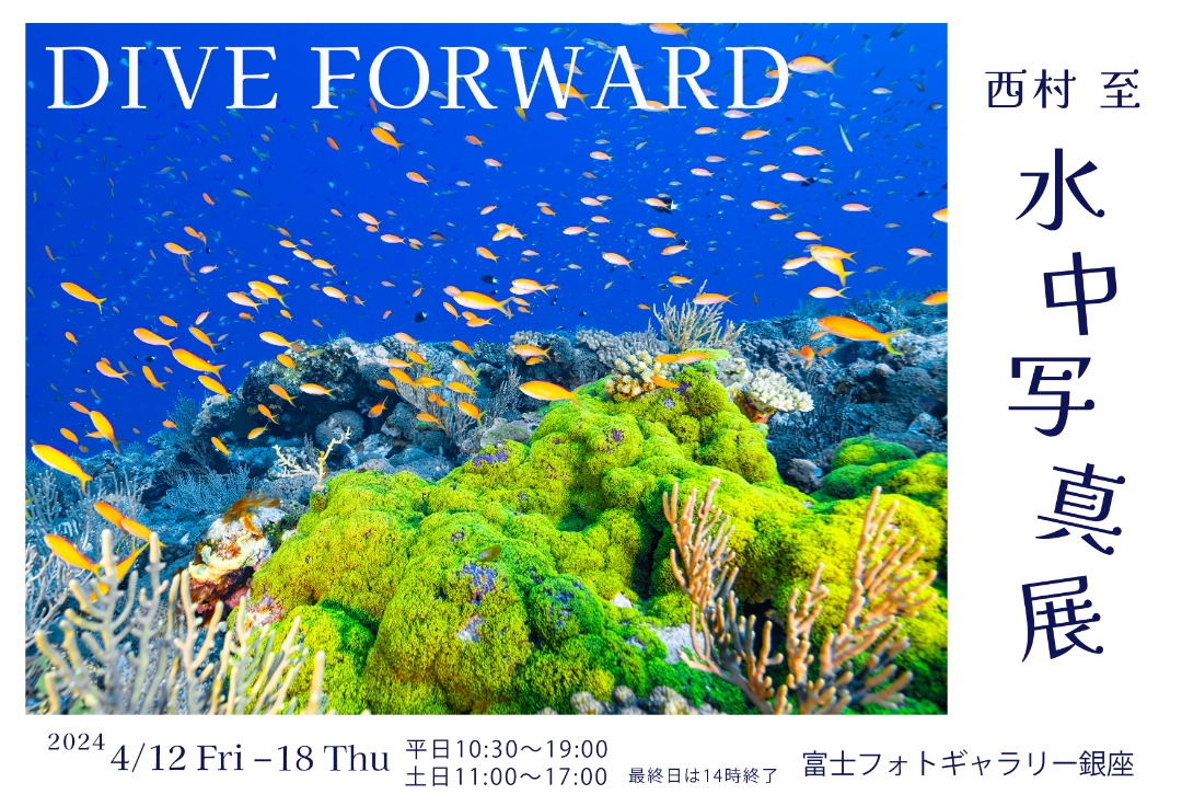 西村至 水中写真展　DIVE FORWARD