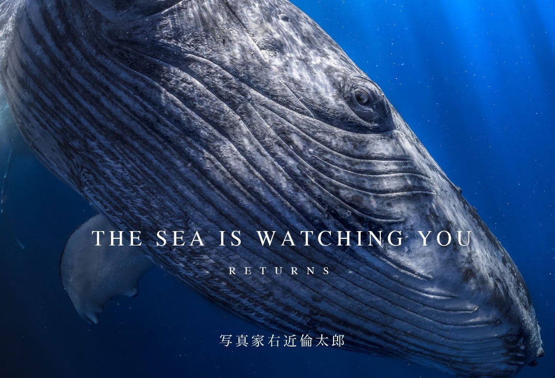 『THE SEA IS WATCHING YOU』<br>- RETURNS -<br>写真家 右近倫太郎