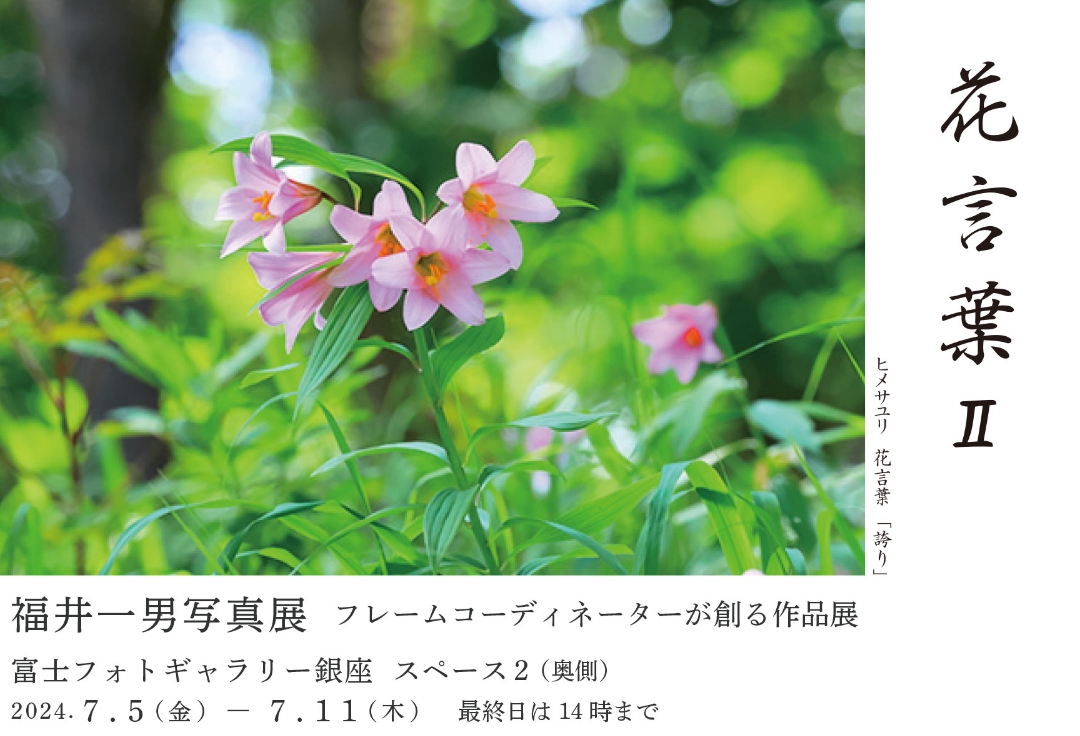 福井一男写真展<br>フレームコーディネーターが創る作品展 「花言葉Ⅱ」