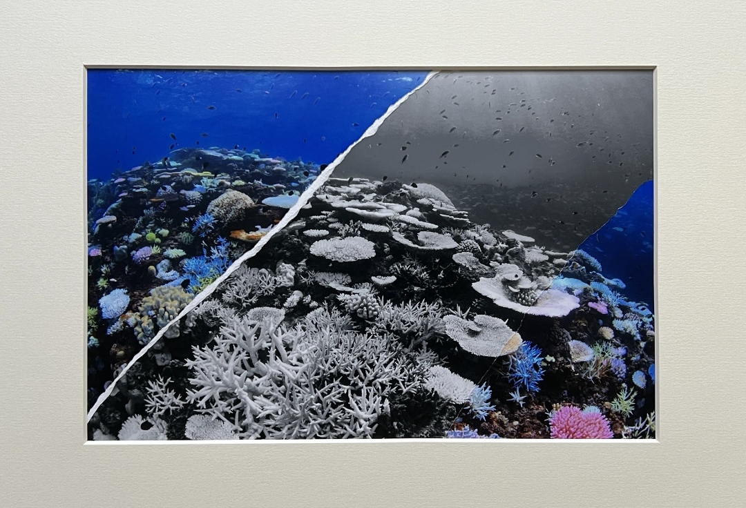 第９回 Blue＋写真展 「海をちぎる」