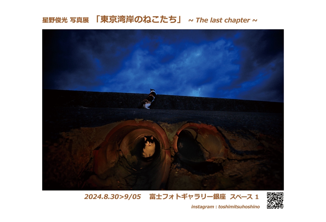 星野俊光写真展 <br>「東京湾岸のねこたち」　～The last chapter～
