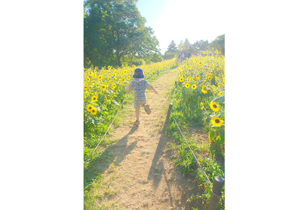 XPL写真展 ２０２４ Summer