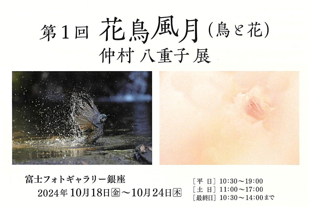 第1回 花鳥風月（鳥と花）　仲村八重子展