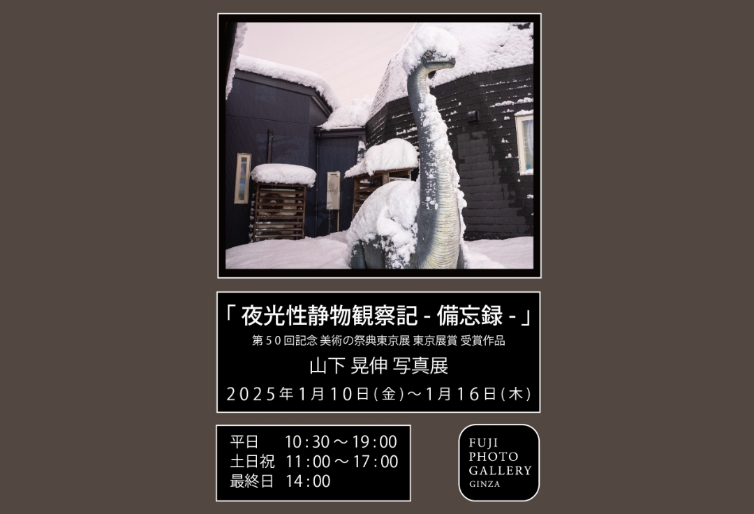 山下晃伸写真展<br>「夜光性静物観察記 -備忘録-」