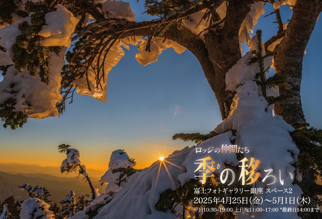 ロッジの仲間たち<br>季（とき）の移ろい