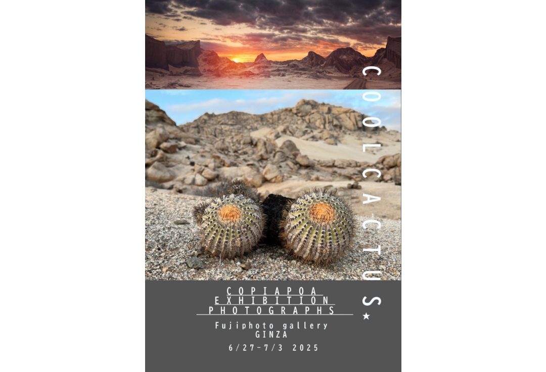飯田大輝 写真展<br>COPIAPOA　COOLCACTUS☆