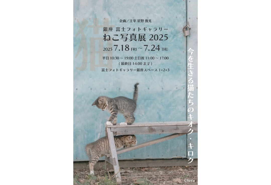 銀座 富士フォトギャラリー　ねこ写真展2025<br>～今を生きる猫たちのキオク・キロク～<br>企画/主宰 星野俊光