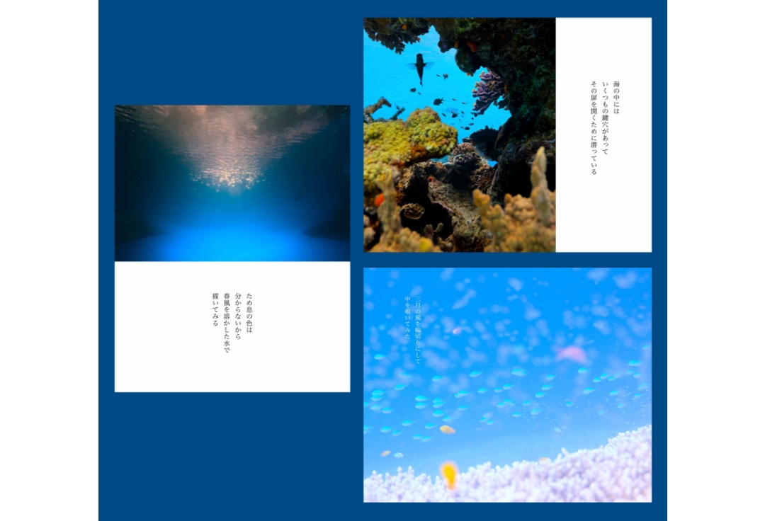 第10回　Blue＋写真展<br>「青と詩を結ぶ」