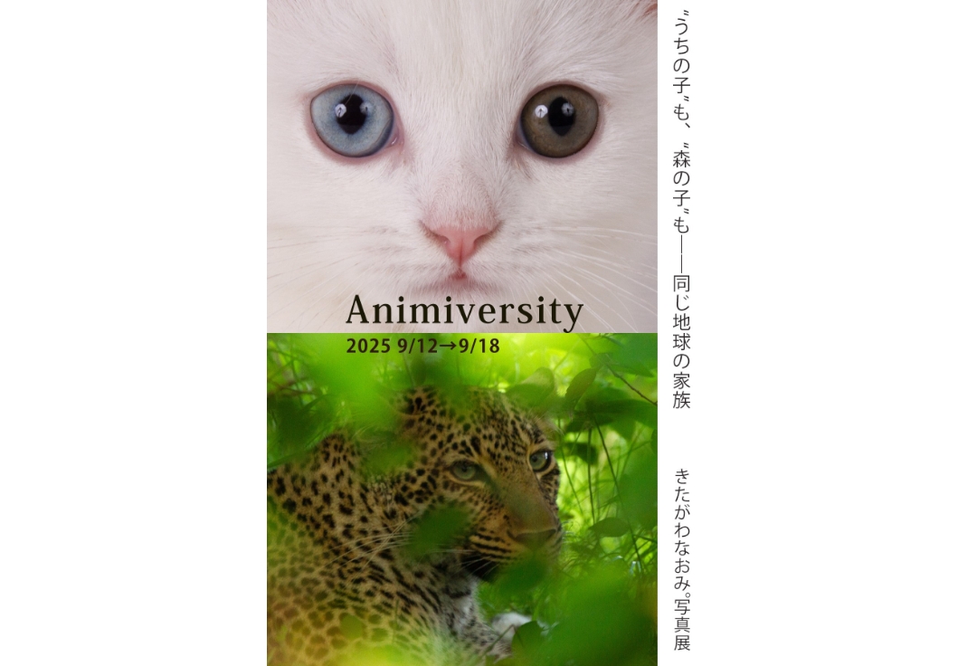 きたがわなおみ。写真展<br>Animiversity