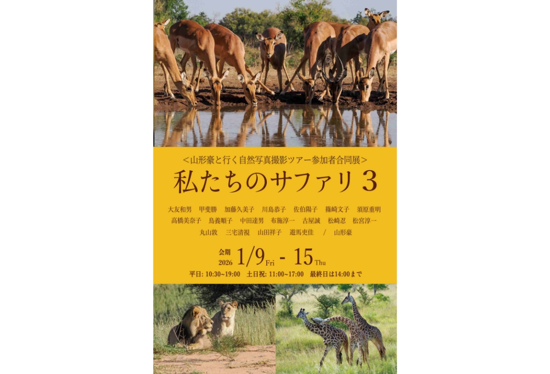 山形豪と行く自然写真撮影ツアー<br>参加者合同展<br>私たちのサファリ ３