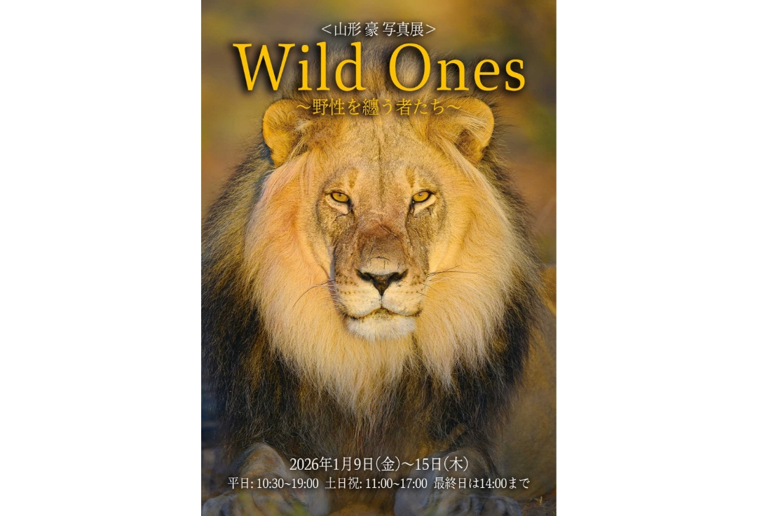 山形豪写真展<br>Wild Ones<br>～野性を纏う者たち～