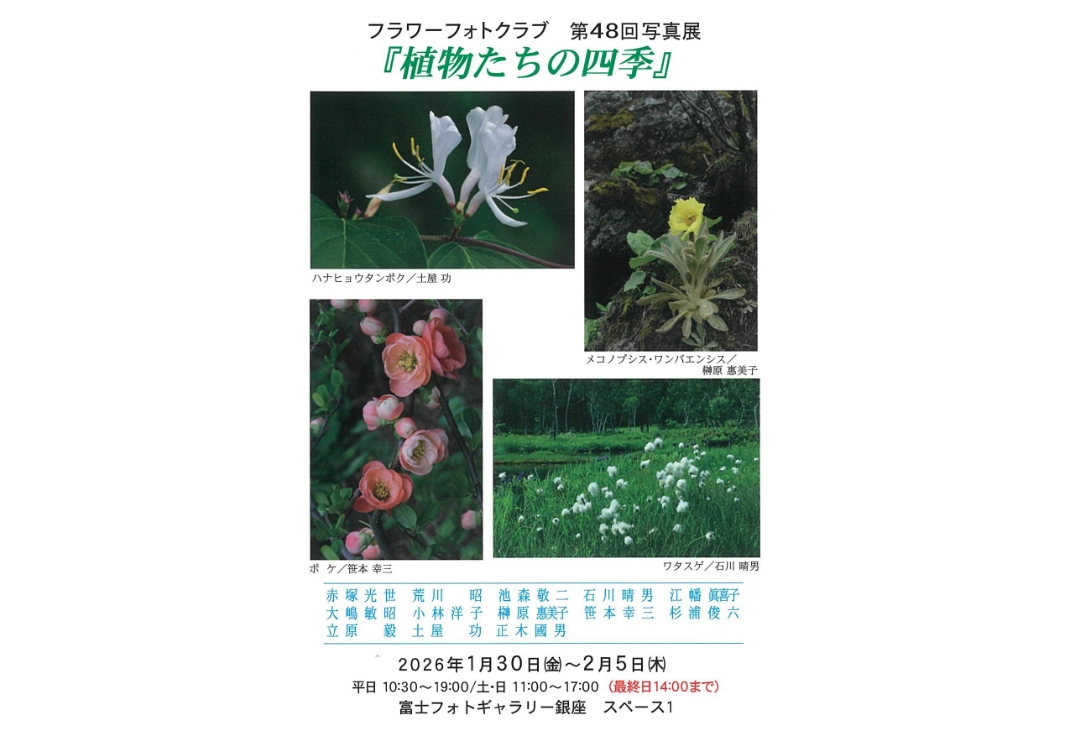 フラワーフォトクラブ 第48回写真展<br>「植物たちの四季」