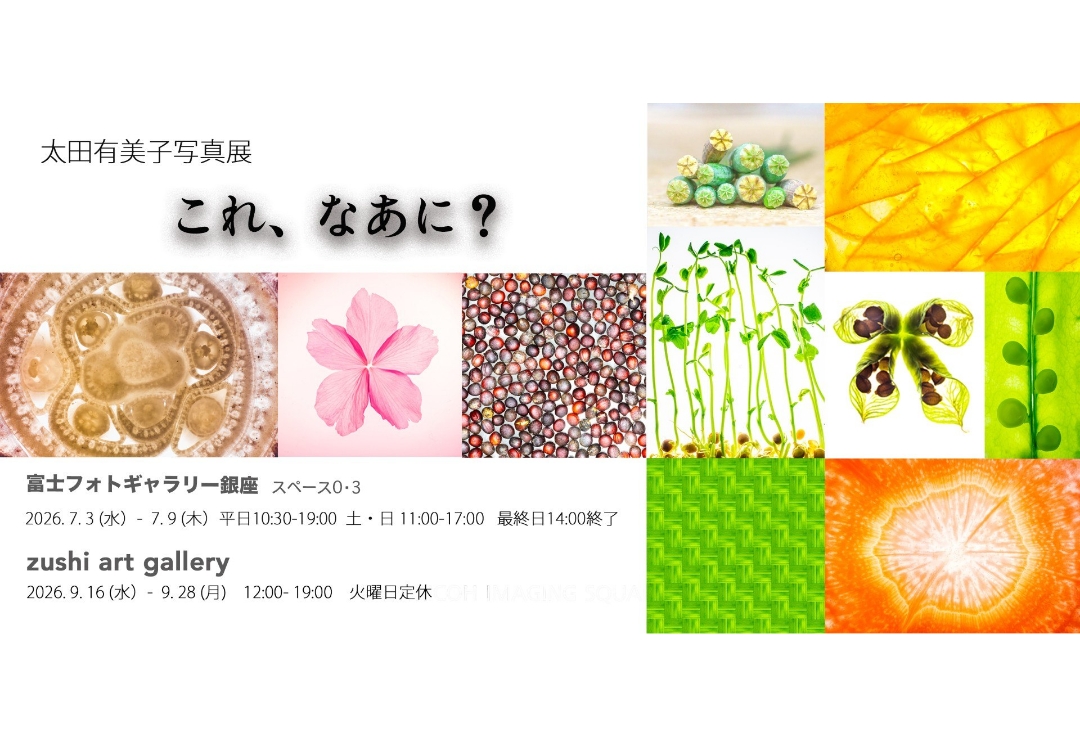 太⽥有美⼦写真展<br>これ、なあに？