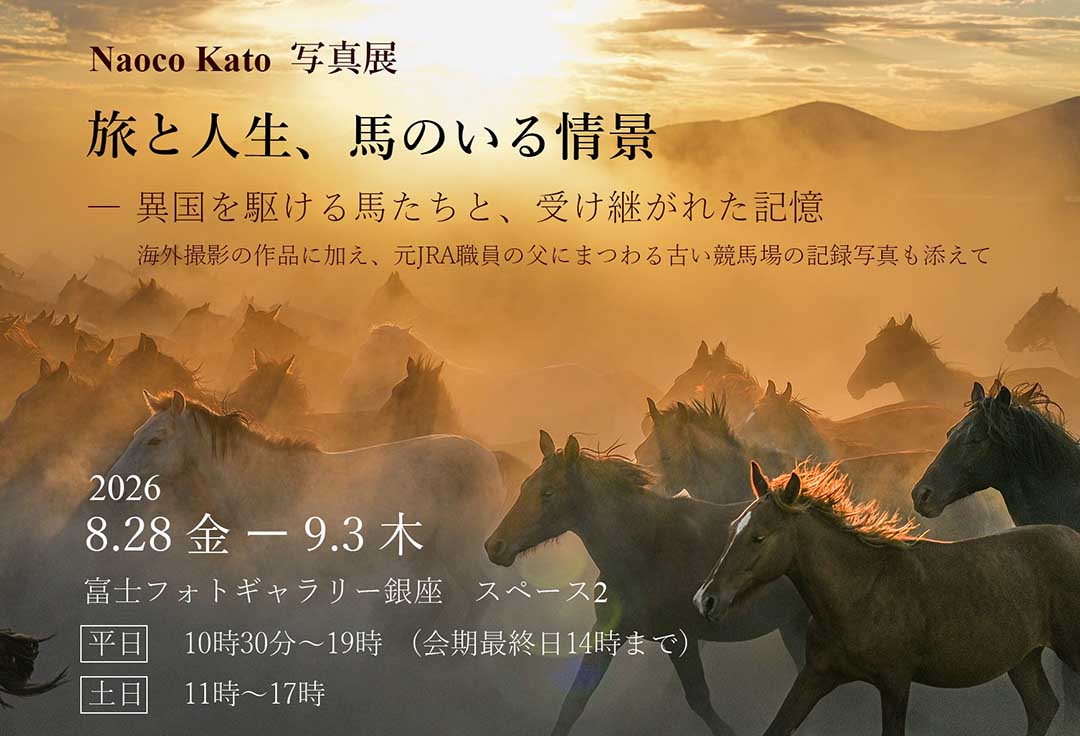 Naoco Kato 写真展