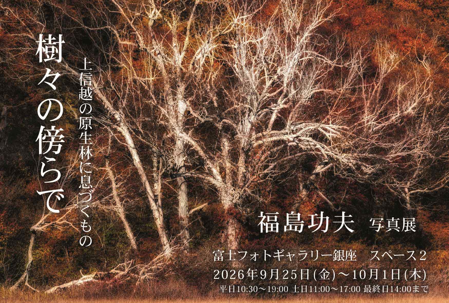 福島功夫写真展「樹々の傍らで」上信越の原生林に息づくもの