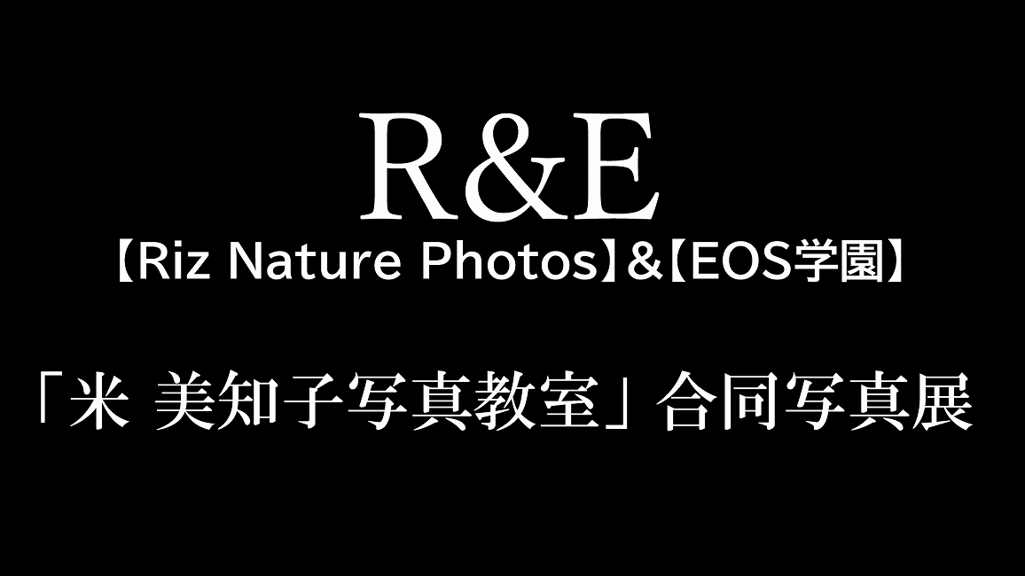 R&E「米 美知子写真教室」合同写真展