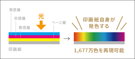 銀塩プリントの場合