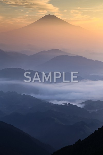 作品