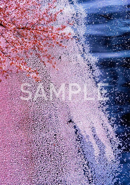 作品