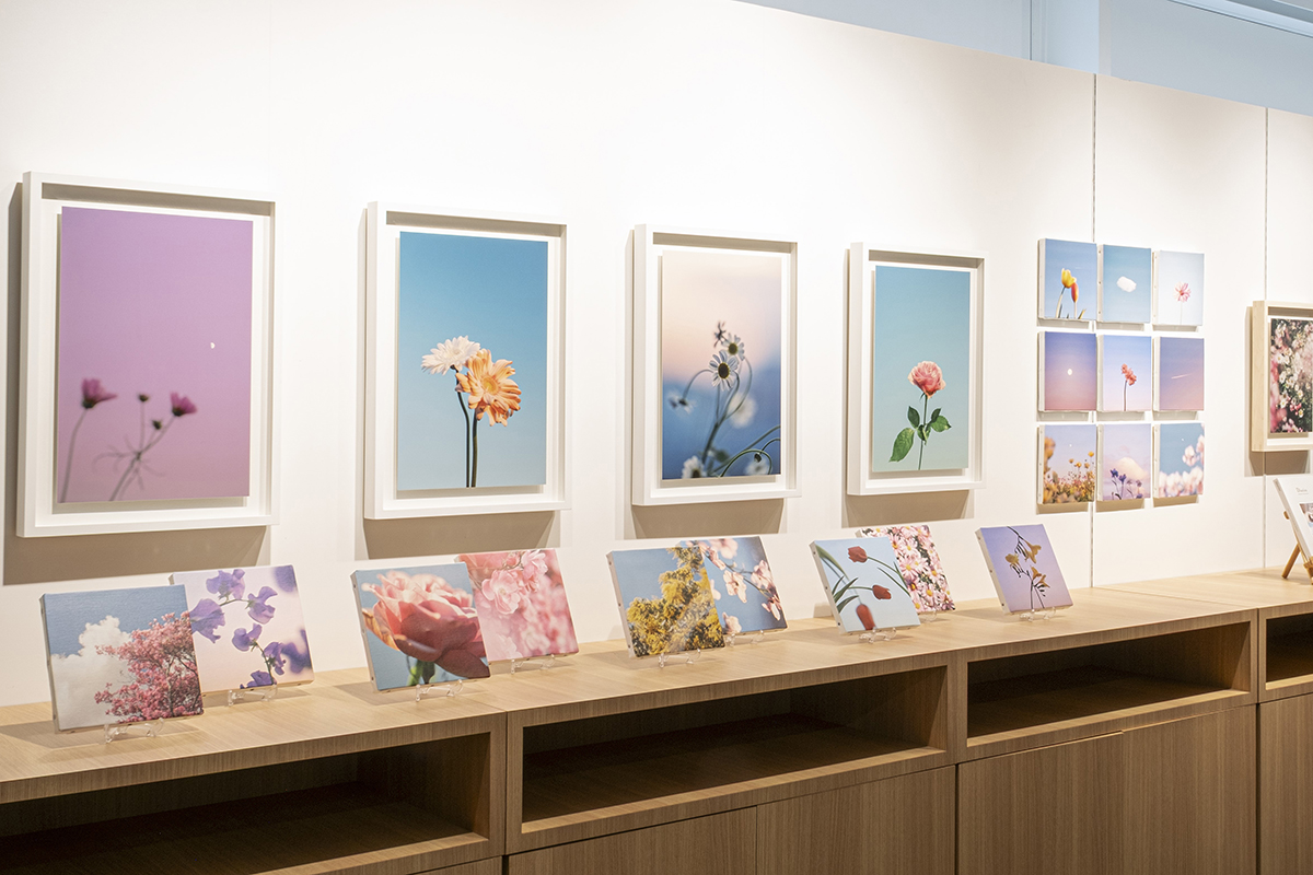 富士フォトギャラリー銀座 スペース0の展示風景