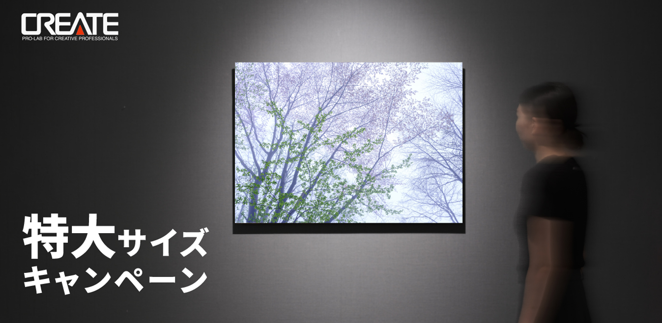 A1サイズの公募展