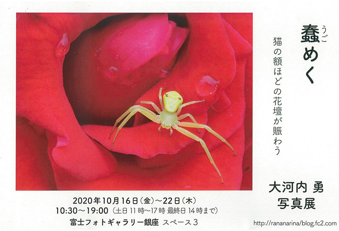 大河内勇写真展　蠢めく　猫の額ほどの花壇が賑わう