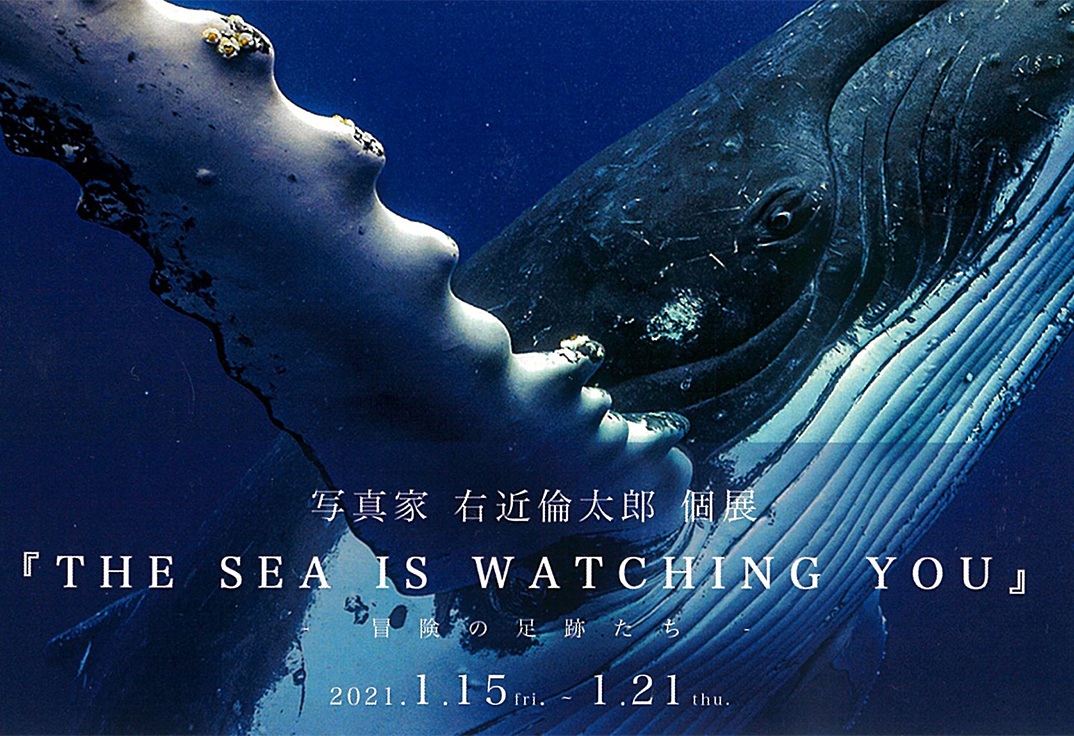 右近倫太郎個展　「THE　SEA　IS WATCHING　YOU」