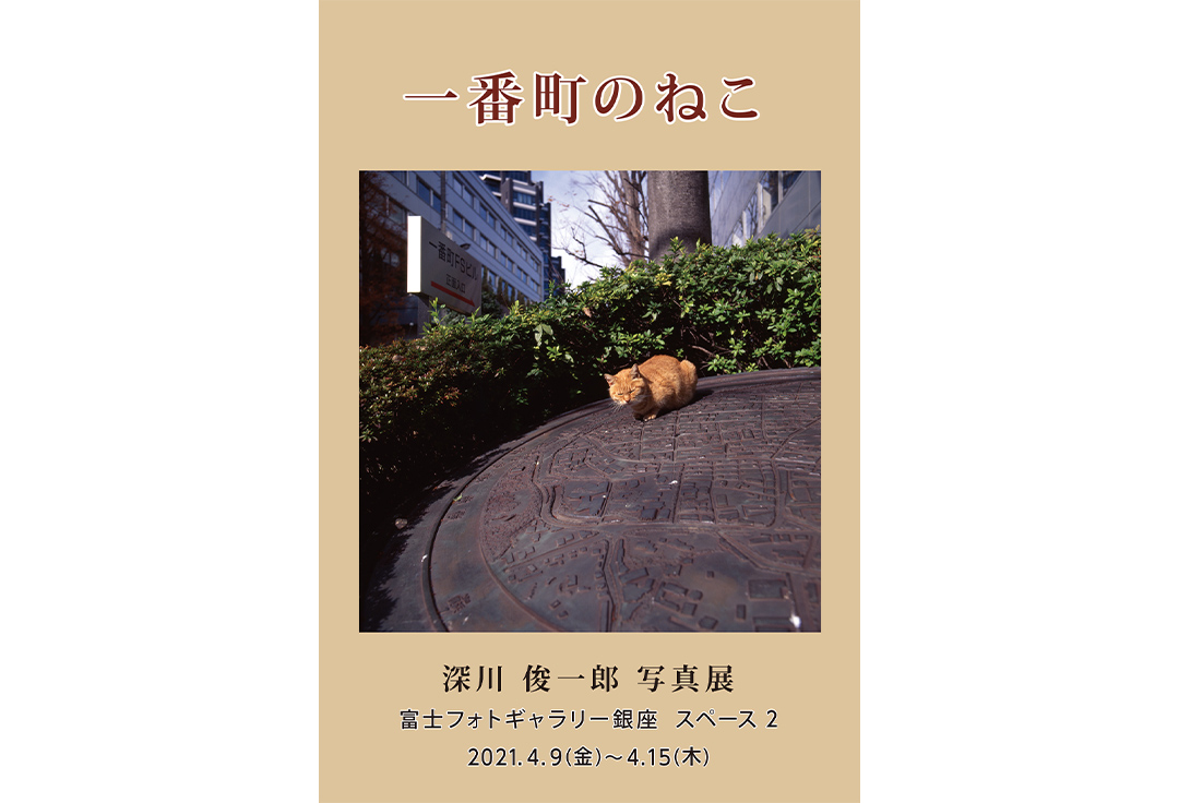 深川俊一郎写真展「一番町のねこ」