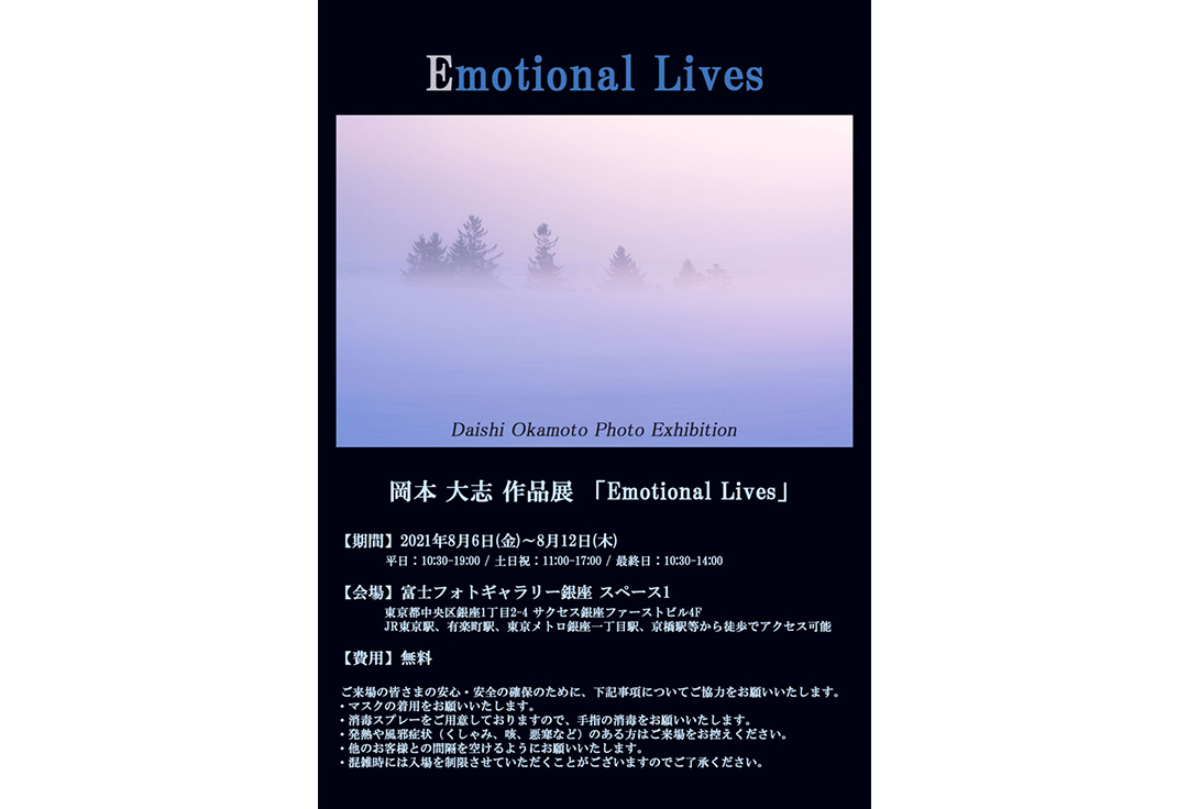 岡本大志　作品展　「 Emotional Lives 」