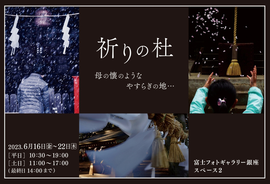 山崎君枝写真展「祈りの杜」