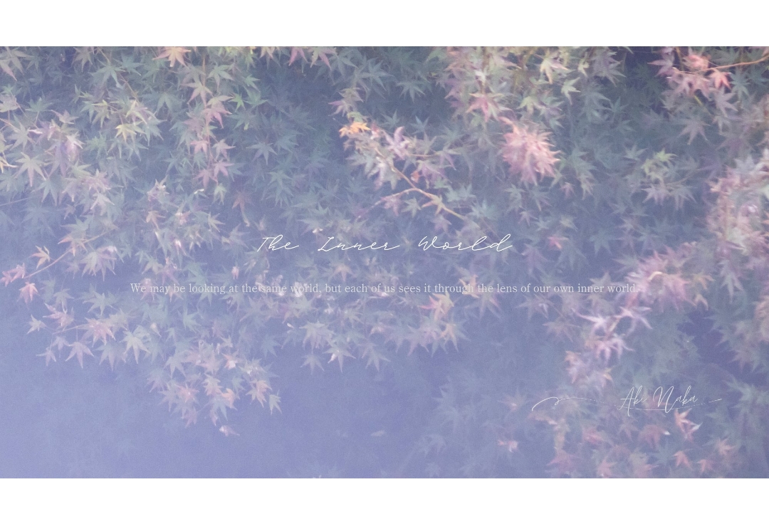 仲 晶 ( Naka Aki ) 写真展<br>『The Inner World』