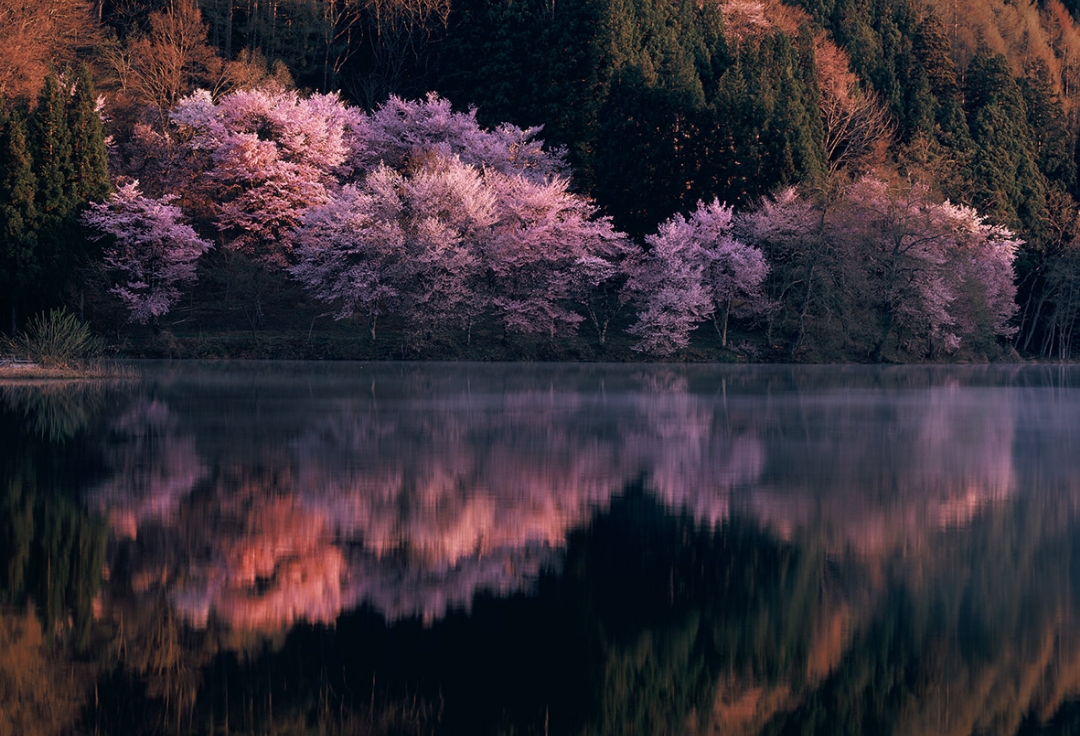 第18回フォト倶楽部G写真展<br>「私旬季」