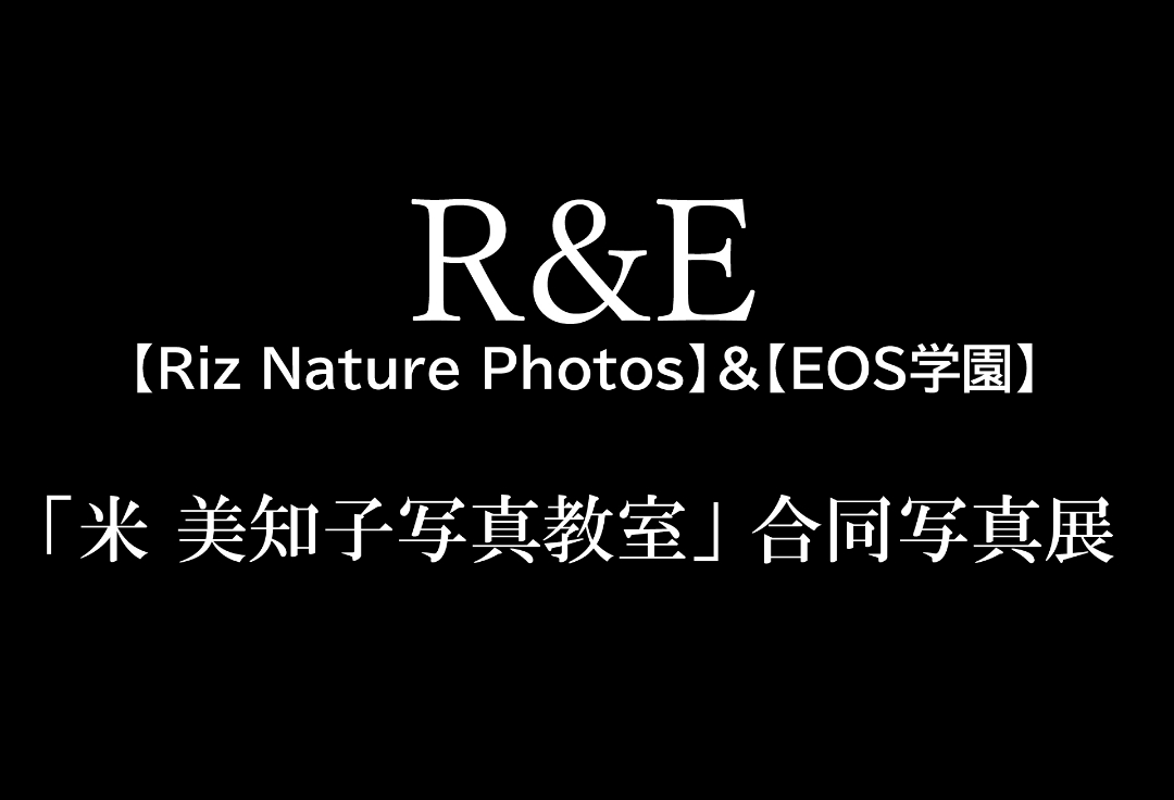 R&E 「米 美知子写真教室 」<br>合同写真展
