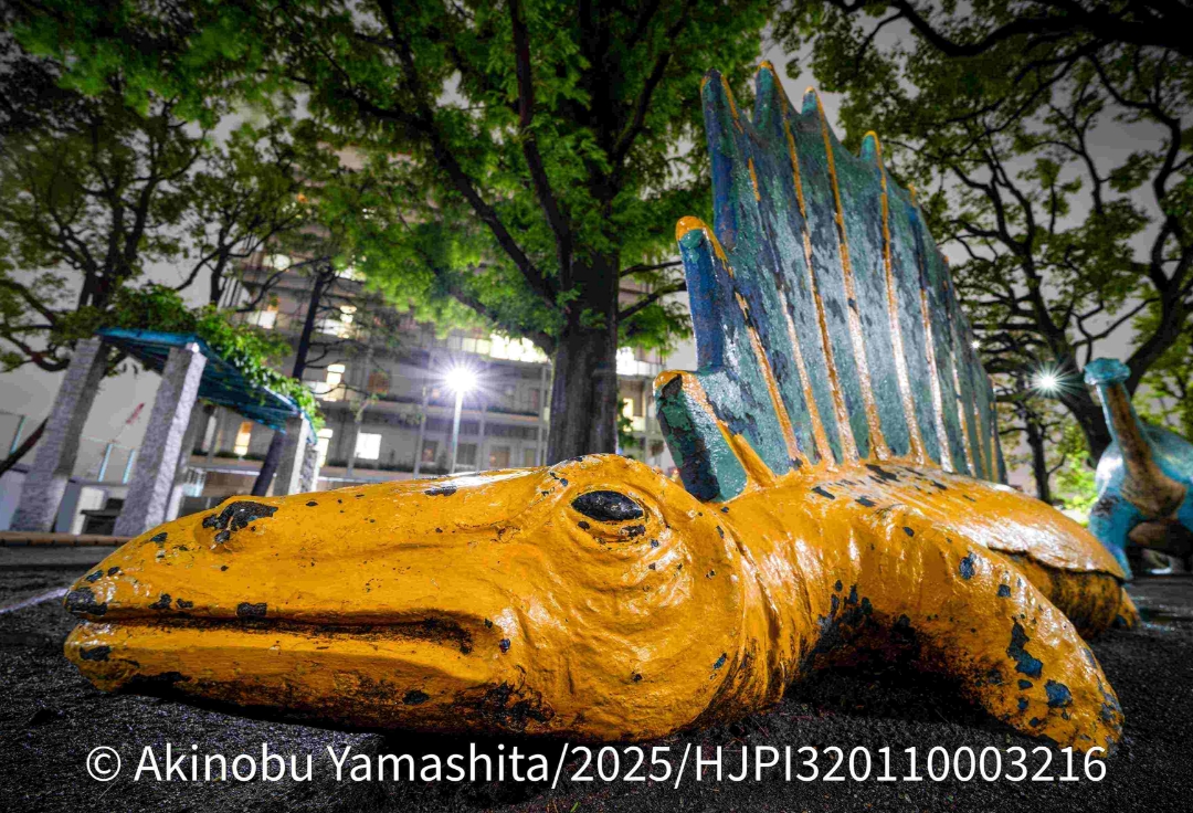 山下晃伸写真展<br>「夜光性静物観察記-備忘録-」