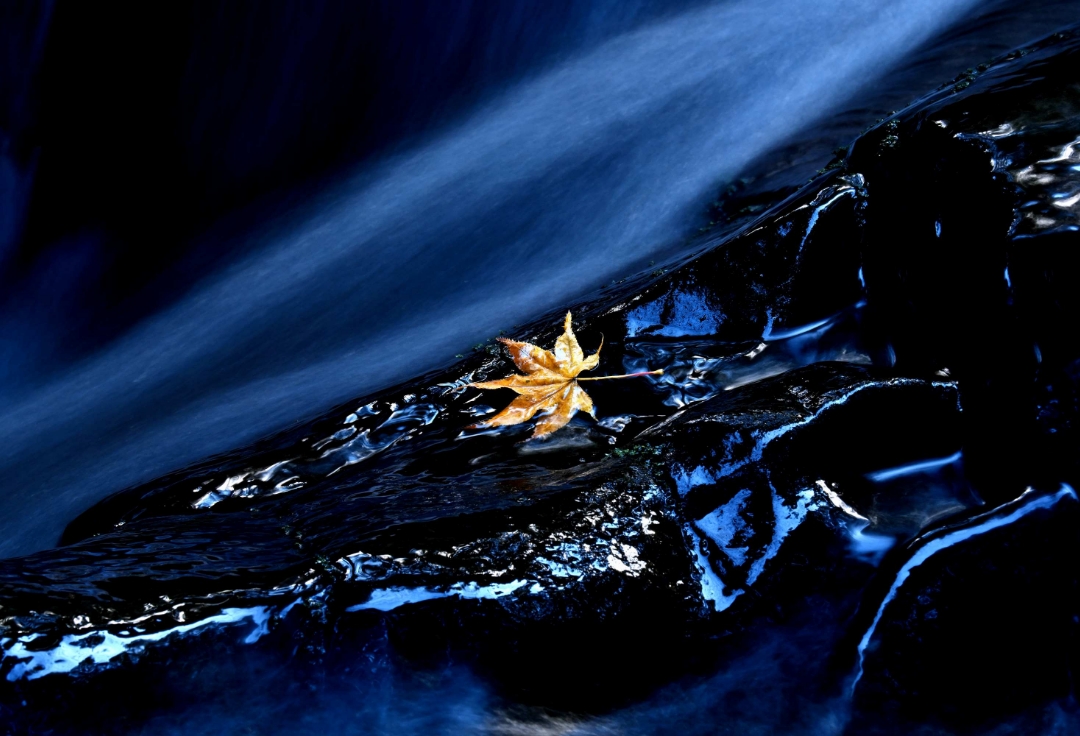 nikoniko一写倶楽部<br>第11回写真展 心に残る風景