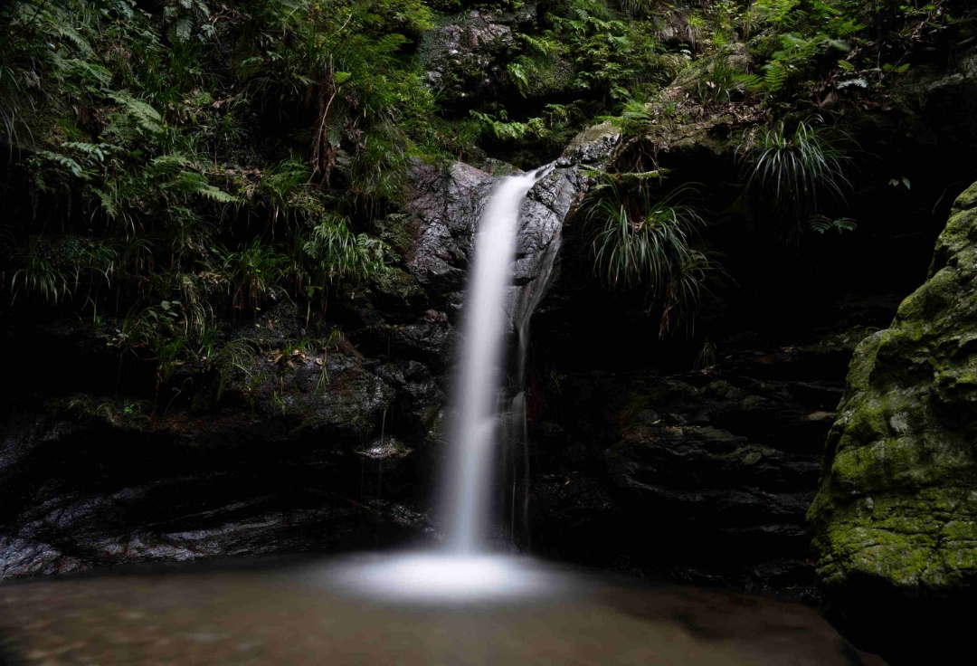 門口浩之写真展<br>五行からのメッセージ