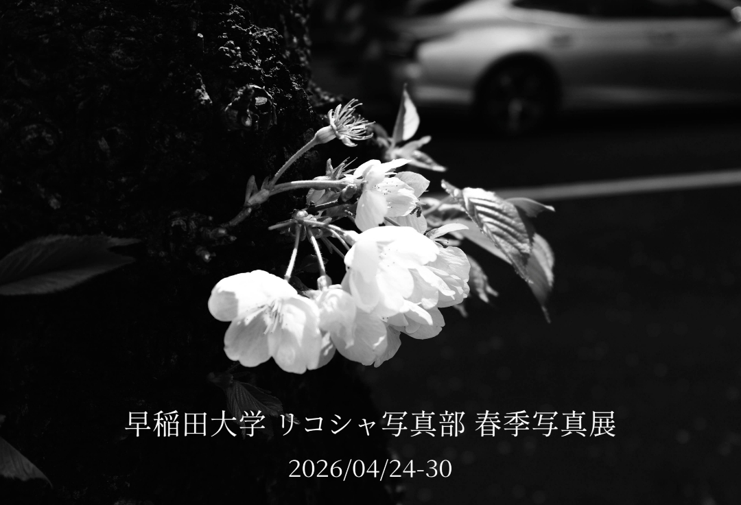 早稲田大学 リコシャ写真部<br>春季写真展 “陰の中に存在する美”